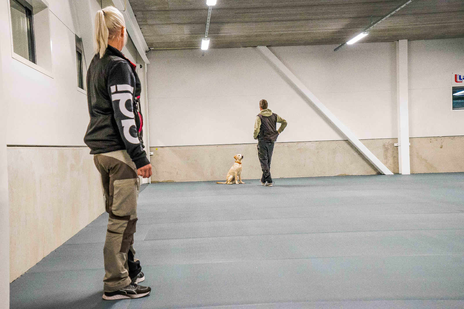 Träningshallar och veterinärklinik i Växjö. Bilden visar hur tränaren tränar en labrador. Foto Victoria Ben-Chivar